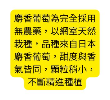 麝香葡萄為完全採用無農藥 以網室天然栽種 品種來自日本麝香葡萄 甜度與香氣皆同 顆粒稍小 不斷精進種植