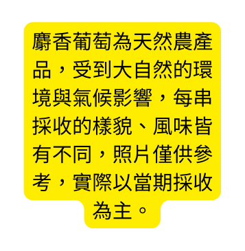 麝香葡萄為天然農產品 受到大自然的環境與氣候影響 每串採收的樣貌 風味皆有不同 照片僅供參考 實際以當期採收為主